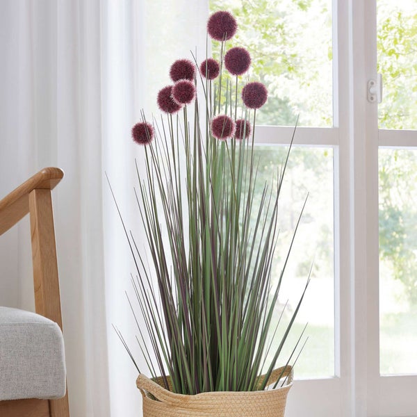 FRANK FLECHTWAREN | Topfpflanze Allium, KUNSTSTOFF, H: 90 cm