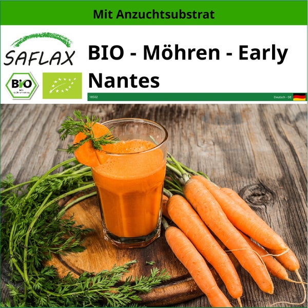 SAFLAX  - BIO - Möhren - Early Nantes - Daucus carota subsp. sativus - 1500 Samen - Mit keimfreiem Anzuchtsubstrat