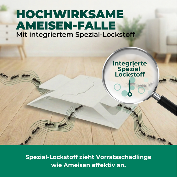 Ameisenfalle mit integriertem Spezial Lockstoff und Ameisen