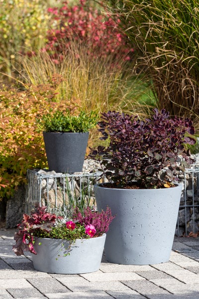 Scheurich C-Cone 49, Pflanzgefäß/Blumentopf/Pflanzkübel, rund,  aus Kunststoff Farbe: Stony Grey, 47,4 cm Durchmesser, 39,4 cm hoch, 46 l Vol.