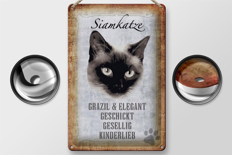 Blechschild Spruch 20x30cm Siamkatze Katze grazil Schild