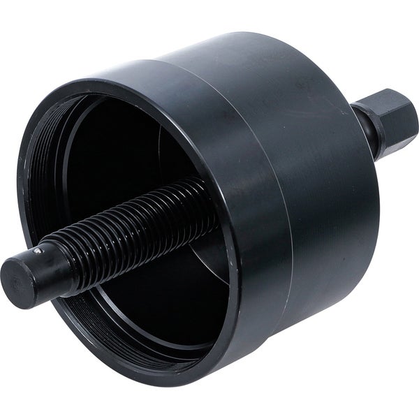 Gartenweg mit Hortensien und Holzbank