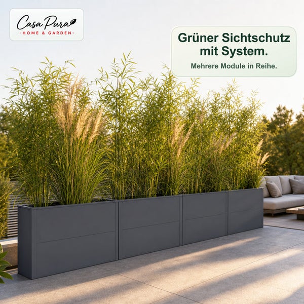 Mehrere modulare Pflanzkübel in einer Reihe auf einer Terrasse, bepflanzt mit Bambus und Ziergräsern als Sichtschutz. Casa Pura Logo.