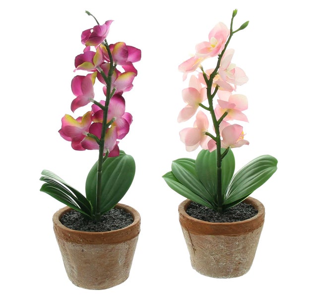 FRANK FLECHTWAREN | Orchidee im Topf, 2er Set, KUNSTSTOFF, BETON, 8,5 x 8,5 x 25 cm