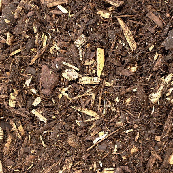 Rindenmulch aus zerkleinerter Baumrinde und Holzstücken für die Gartenpflege.