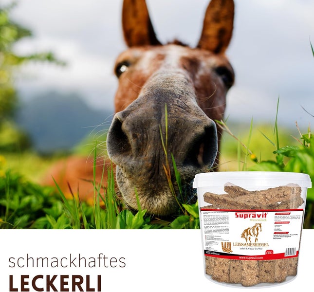Pferdeleckerli Leinsamenriegel der Marke Supravit vor Pferd im Gras