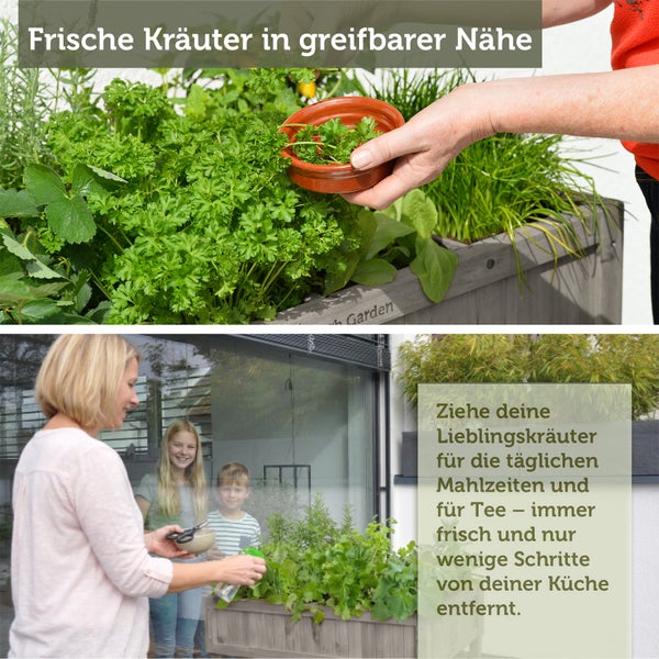 Infografik für den VegTrug Kräutergarten mit Pflegehinweisen zu Wasserbedarf und Bodenbeschaffenheit für acht verschiedene Kräuter.