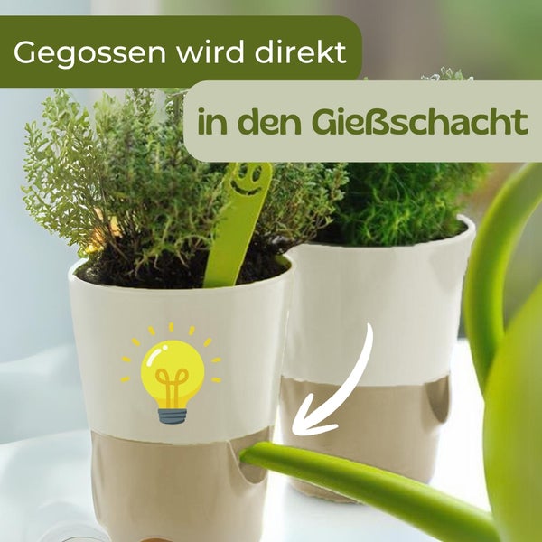 Bewässerung einer Pflanze direkt über den seitlichen Gießschacht des Pflanztopfs.