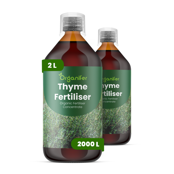 Organifer Thymian-Dünger, zwei Flaschen organisches Düngerkonzentrat, 2 Liter für 2000 Liter Gießwasser.