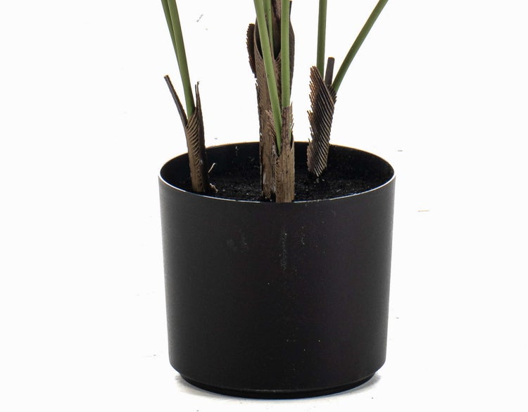 Kunstpflanze Palme im schwarzen Topf.