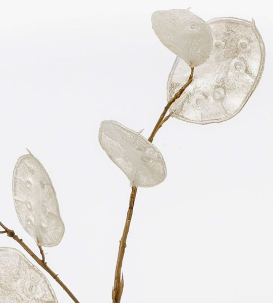 Dekozweig Lunaria Zweig BUELNA, Creme, 105cm - Kunstzweig/Silberblatt künstlich