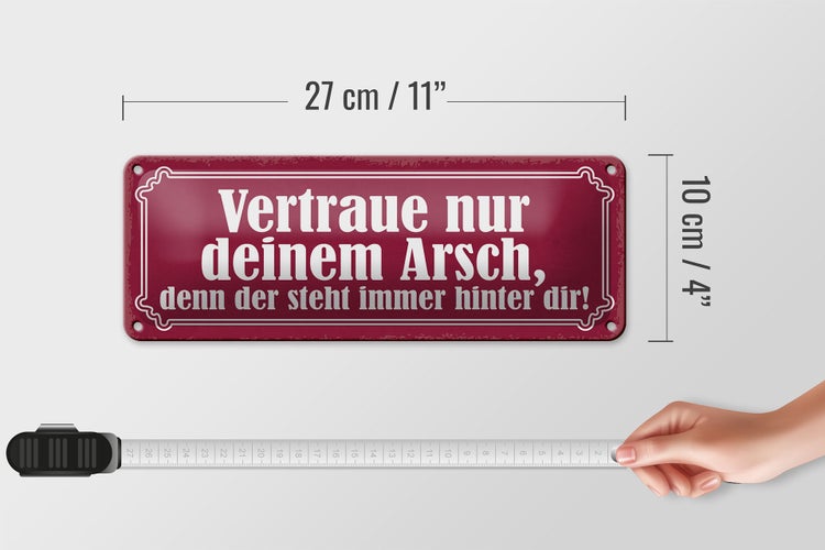 Blechschild Spruch 27x10cm vertraue nur deinem Arsch denn Dekoration