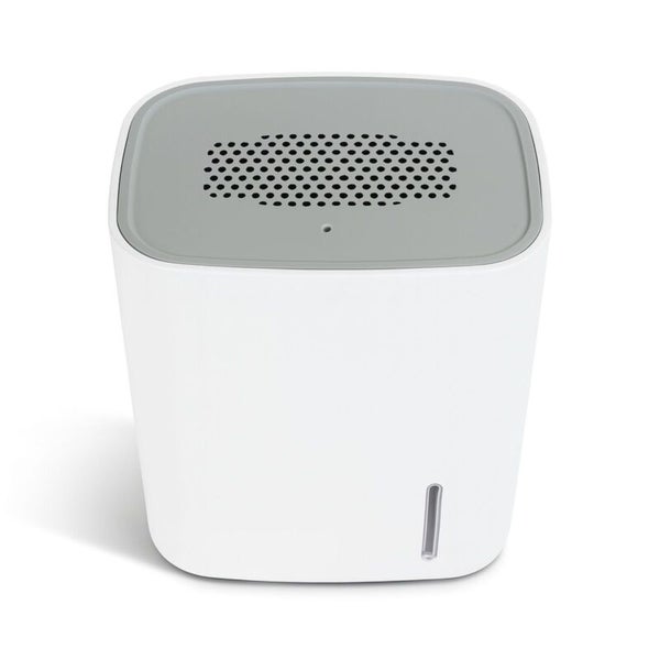 Kompakter elektrischer Luftentfeuchter aus Kunststoff in Weiß mit grauer Oberseite und Sichtfenster für den Wasserstand.