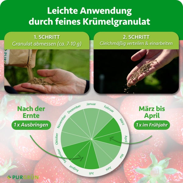 Anwendungshinweise für Purgrün Erbeerdünger mit Dosierungsempfehlung und Anwendungszeitraum in einem Kalender von März bis April und nach der Ernte.