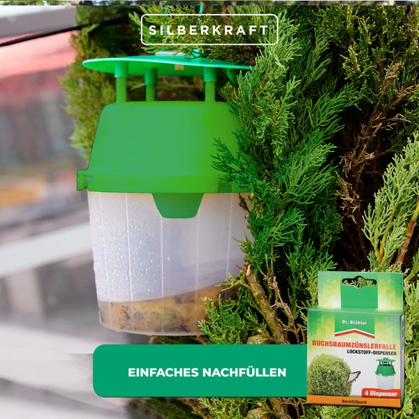 Nachfüllpack Buchsbaumzünsler-Falle – 4 Pheromon-Dispenser zur Wiederverwendung in vorhandenen Trichterfallen – Effektive Lockwirkung gegen Buchsbaumzünsler – Für Garten & Zierpflanzenbereiche