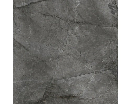 Wand und Bodenfliese Root Silver 100x100cm, rektifiziert