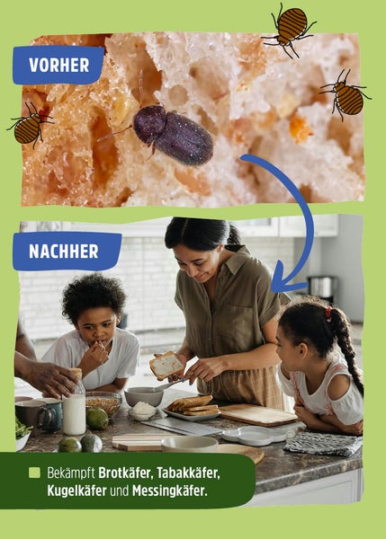 Schlupfwespen - Lagererzwespen gegen Brotkäfer, Tabakkäfer & Kugelkäfer
