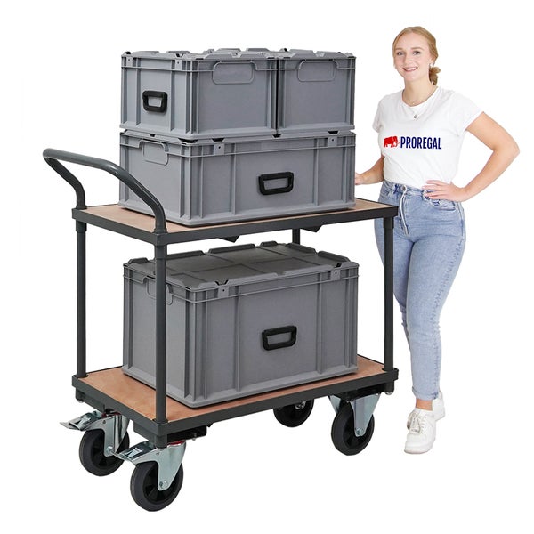 PROREGAL Profi Tischwagen mit 2 Etagen HxBxT 95 x 50 x 97 cm Traglast 400 kg Grau