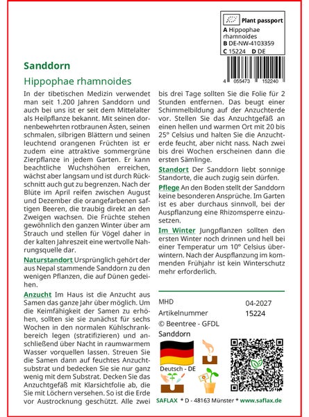 SAFLAX  - Sanddorn - Hippophae rhamnoides - 40 Samen