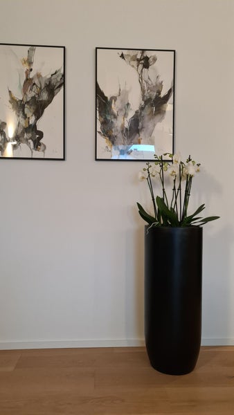 Schwarzes, hohes zylindrisches Pflanzgefäß mit weißer Orchidee auf Holzboden in einem hellen Raum mit abstrakter Wandkunst.