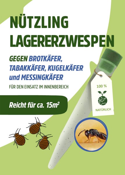 Lagererzwespen gegen Brotkäfer, Tabakkäfer, Kugelkäfer und Messingkäfer für den Einsatz im Innenbereich. Das Produkt reicht für circa 15 Quadratmeter. Natürliches Produkt.