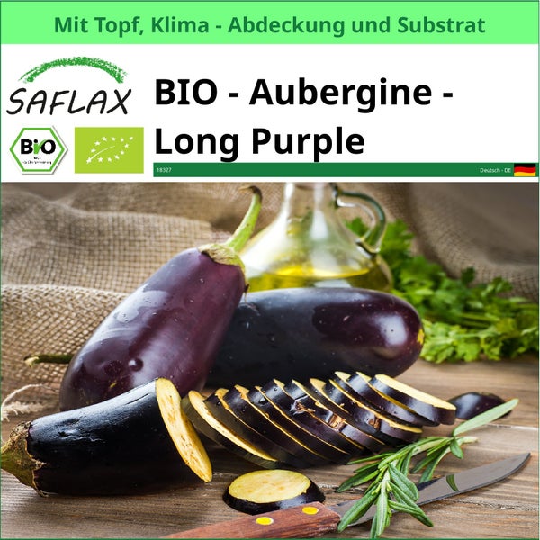 SAFLAX Garden to go - BIO - Aubergine - Long Purple - Solanum melongena - 20 Samen - Mit Topf, Klima - Deckel und Anzuchtsubstrat