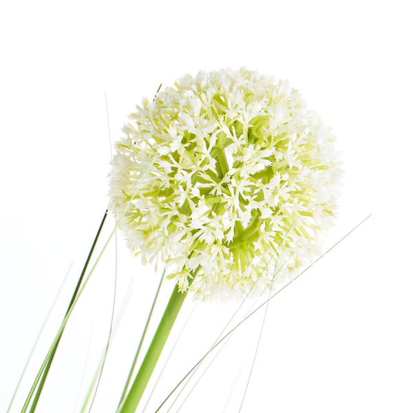 Künstliche Blume Allium mit weißer Blütenkugel und grünem Stiel.