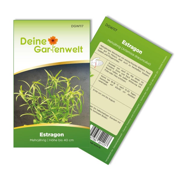 Estragon Mehrjährig Samen von Deine Gartenwelt