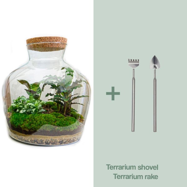 Flaschengarten Fat Joe - DIY-Pflanzenterrarium - 30 cm - incl. Rechen und Schaufel