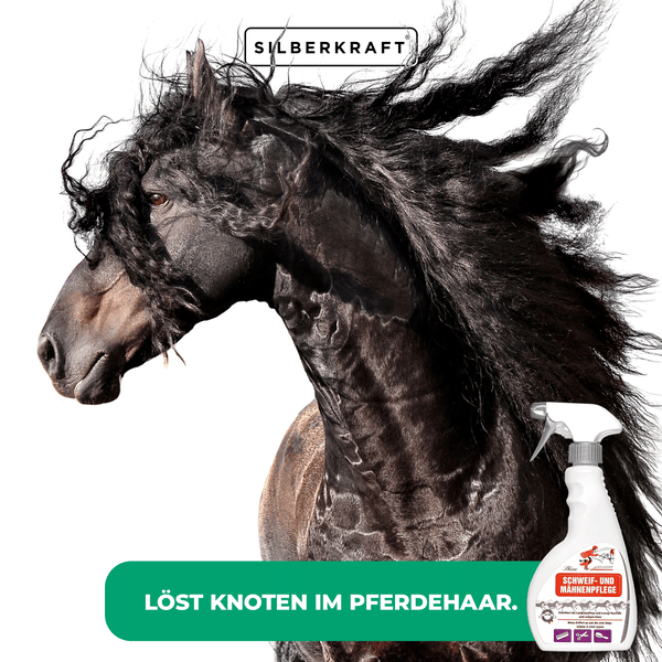 Schweif- & Mähnenspray für Pferde – Entwirrungsspray für geschmeidiges Langhaar – Glanzspray gegen Knoten & Filz – Pflegt & schützt Mähne & Schweif