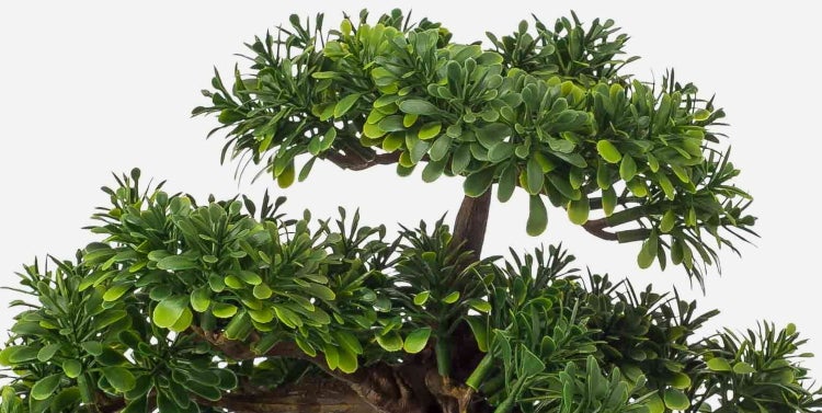 Detailaufnahme eines künstlichen Bonsai-Baums mit dichten grünen Blättern und braunen Ästen.