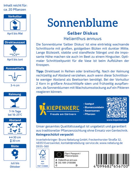 Saatgut für Sonnenblume Gelber Diskus inklusive Anbauanleitung und Informationen zu Aussaat, Keimung und Pflege von Kiepenkerl.