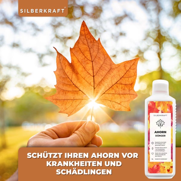 SILBERKRAFT Ahorn Dünger – Für Japanischen & Fächerahorn – 1 Liter