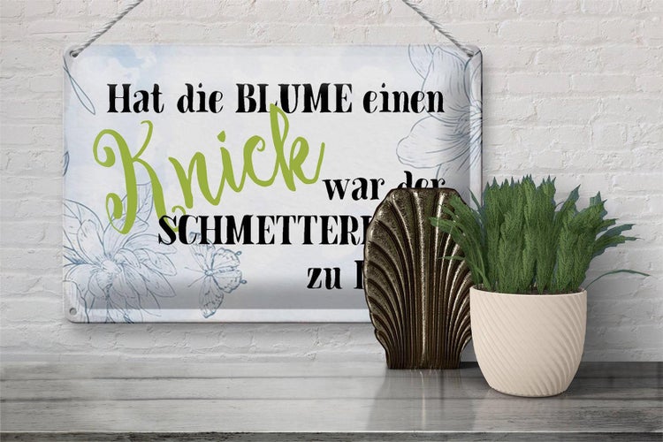 Blechschild Spruch 30x20cm hat Blume Knick Schmetterling