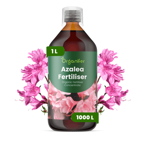 Organifer Azalea Dünger, 1 Liter organisches Düngerkonzentrat für Azaleen, ergibt 1000 Liter Düngerlösung, mit Messkappe.