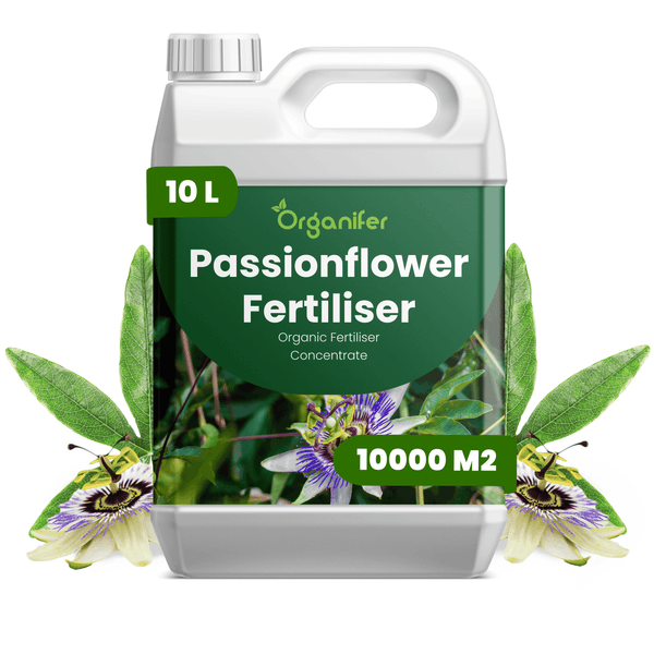 Organifer Passionsblumen-Dünger, 10 Liter organisches Flüssigdünger-Konzentrat für circa 10000 Quadratmeter, Organifer Logo.