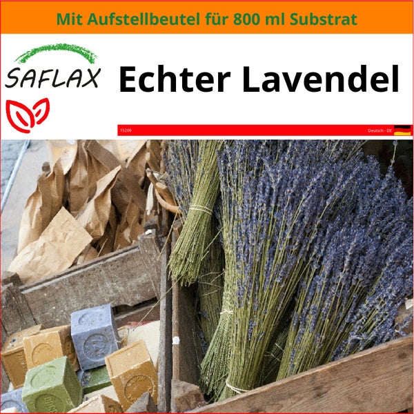 SAFLAX Garden in the bag - Echter Lavendel - Lavandula angustifolia - 150 Samen - Mit Anzuchtsubstrat im praktischen, selbst aufstellenden Beutel