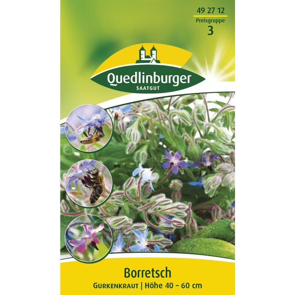 Borretsch Samen von Quedlinburger SAATGUT