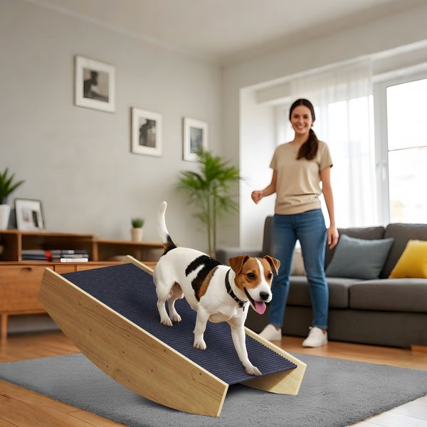 Hunderampe und Hundetreppe aus Holz mit Maßen: Gesamtlänge 80 Zentimeter, Gesamthöhe 20 Zentimeter und Stufenhöhe 8 Zentimeter.