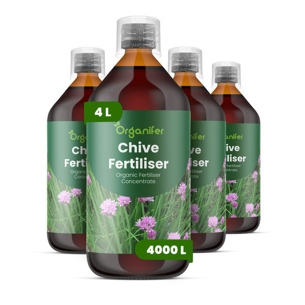 Organifer Schnittlauch-Dünger, Set mit 4 Flaschen zu je 1 Liter, organisches Düngerkonzentrat für Kräuter.