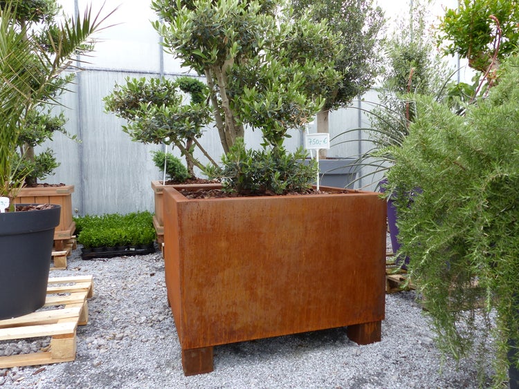 Cortenstahl Pflanzkübel 120x120x60 Rostkübel Rost Stahl Kübel Blumenkübel XXL