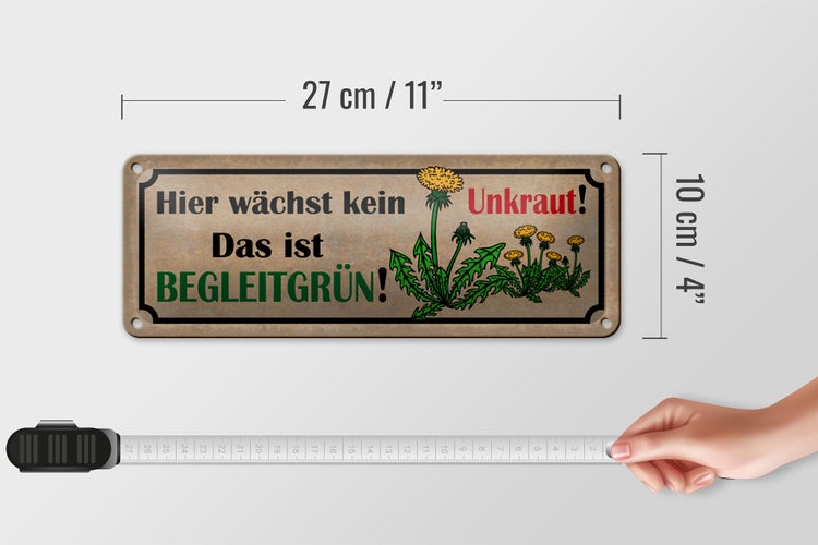 Blechschild Spruch 27x10cm hier wächst kein Unkraut das ist Dekoration