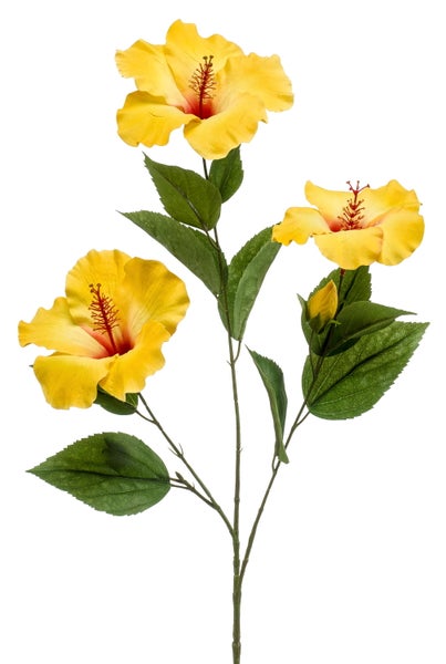 Detail eines grünen Blattes mit gezacktem Rand an einem Stiel mit Dornen und gelben Blütenblättern.