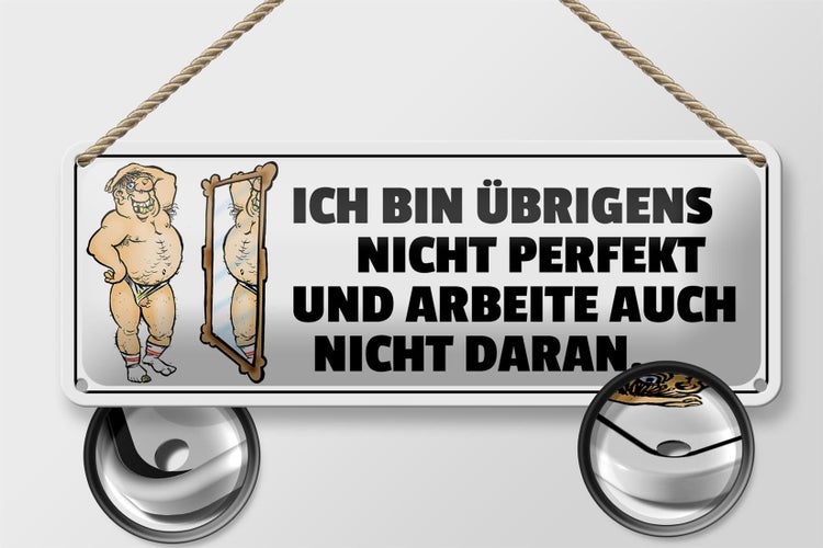 Blechschild Spruch 27x10cm ich bin übrigens nicht perfekt Dekoration
