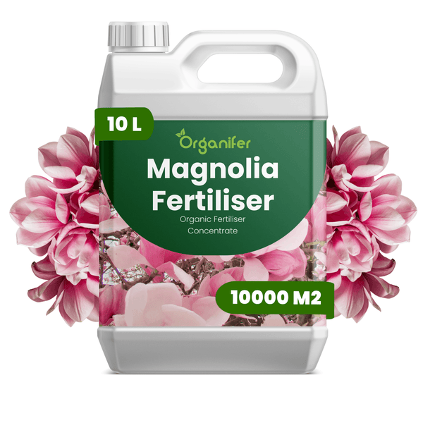 Organifer Magnoliendünger, organisches Konzentrat, 10 Liter für 10000 Quadratmeter.