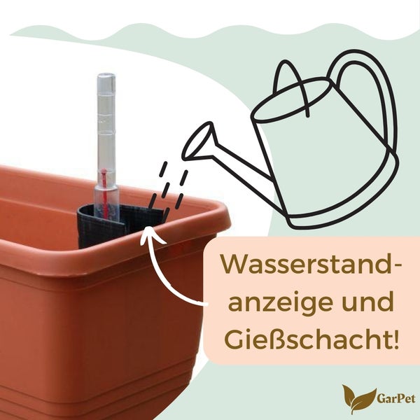 Illustration einer Pflanzbox mit Wasserstandsanzeige und Giessschacht