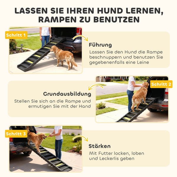 Anleitung in drei Schritten zur Gewöhnung eines Hundes an eine Autorampe durch Führung, Grundausbildung und Belohnung mit Leckerlis.