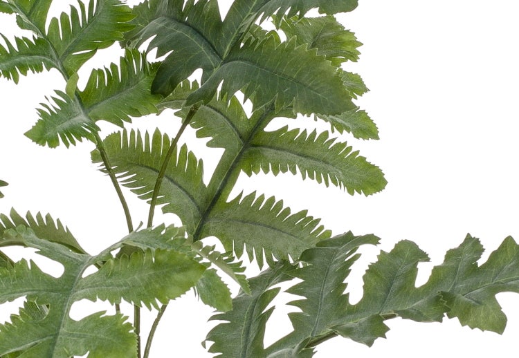 Künstliche Farnpflanze mit realistisch wirkenden grünen gezackten Blättern.