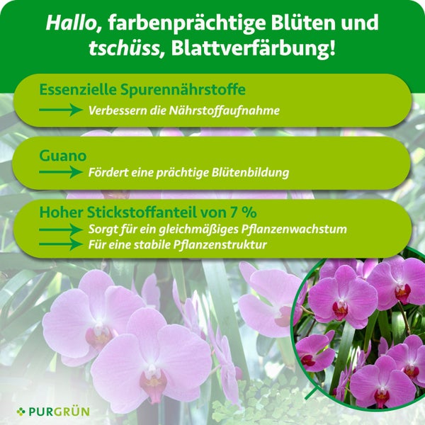 Infografik zu Purgrün Orchideendünger mit Details zu Spurennährstoffen, Guano und 7 Prozent Stickstoffanteil. Purgrün Logo.