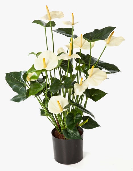 Künstliche Anthurie mit grünen herzförmigen Blättern und einer weißen Blüte in einem dunkelgrauen Topf.